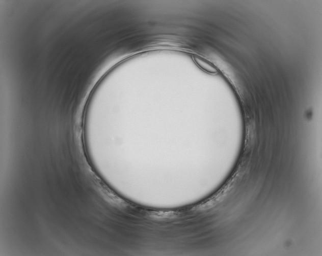 X0000116841435201001151238