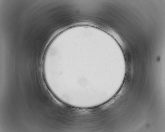 X0000116841436201001151238