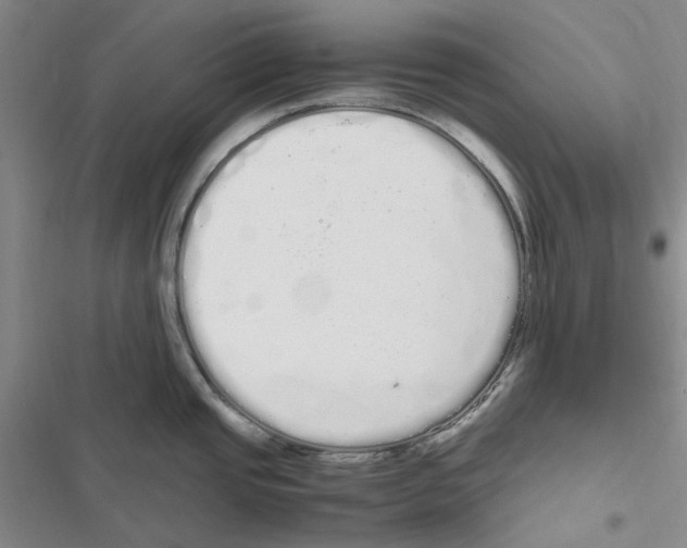 X0000116841437201001151238