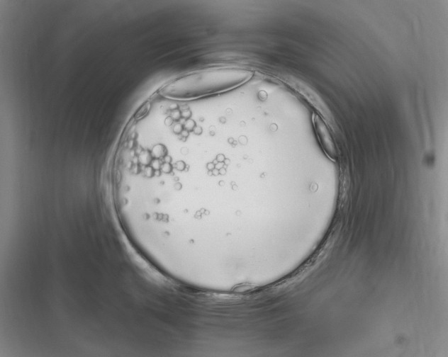 X0000116841439201001151238