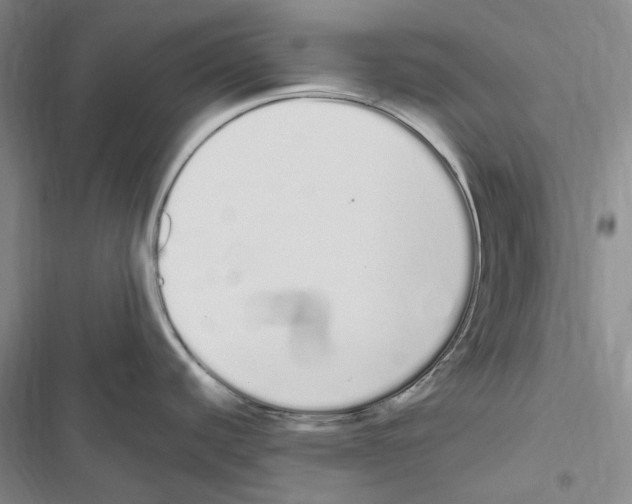 X0000116841440201001151238