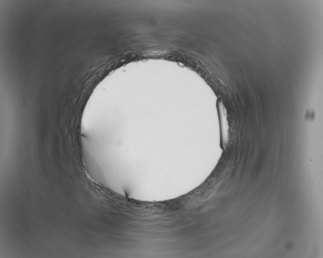 X0000116841441201001151237