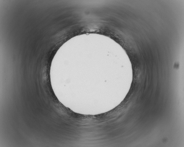 X0000116841442201001151237