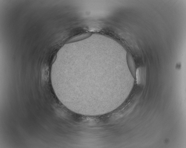 X0000116841443201001151237