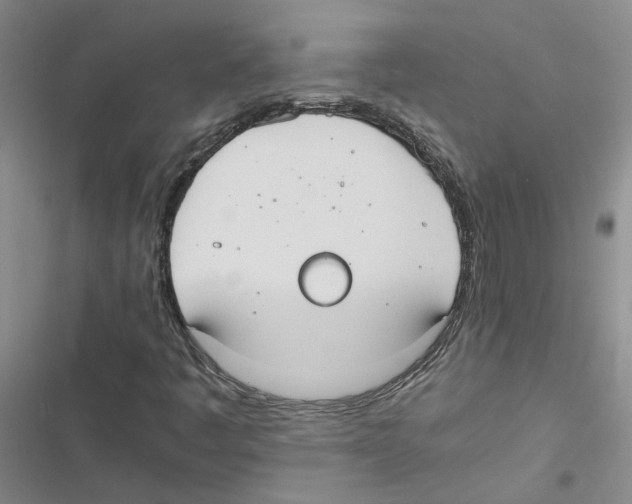 X0000116841445201001151237