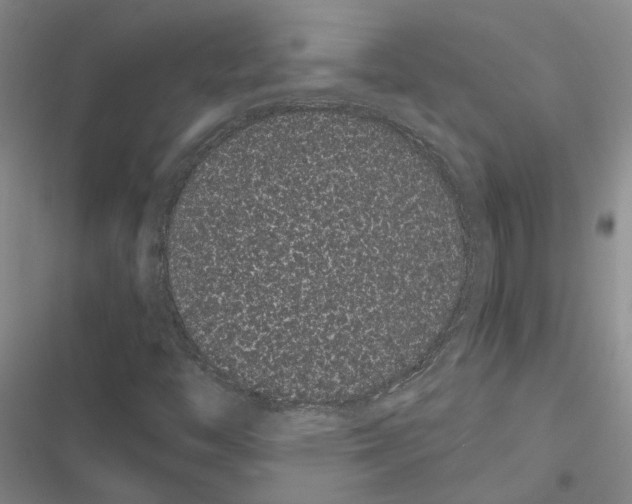 X0000116841446201001151237