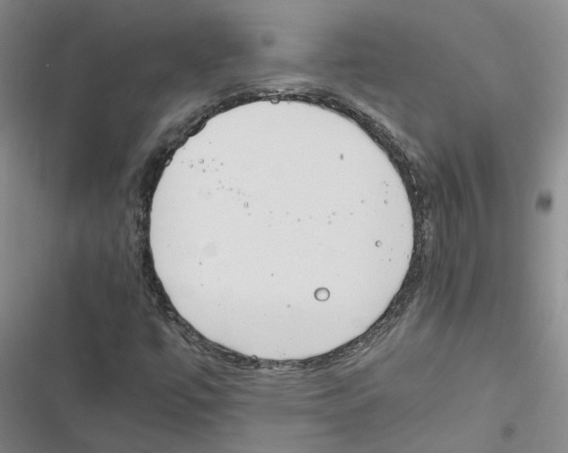 X0000116841447201001151237