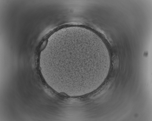 X0000116841448201001151237