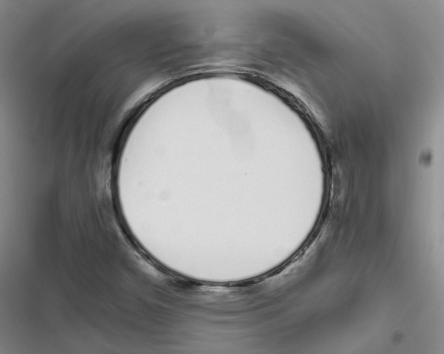 X0000116841450201001151237