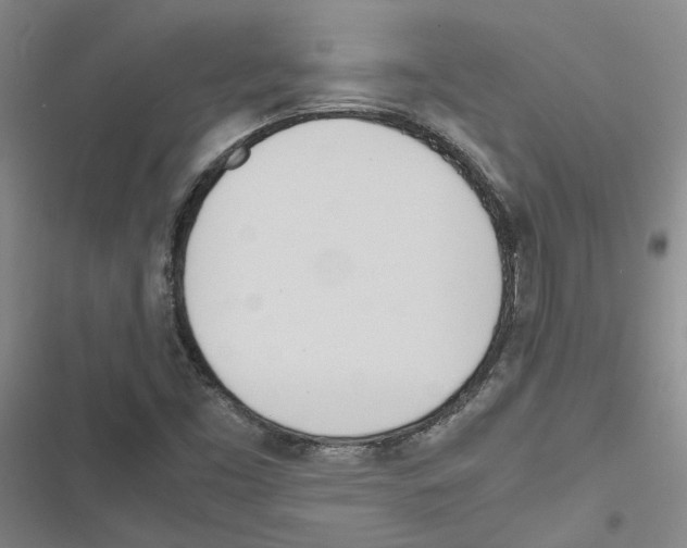 X0000116841453201001151237