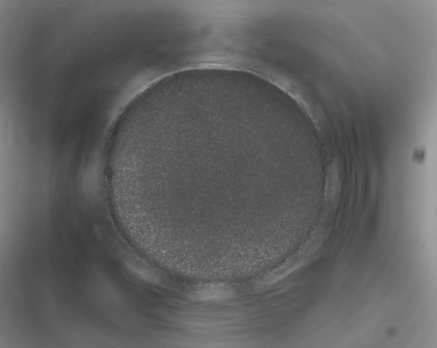 X0000116841454201001151237