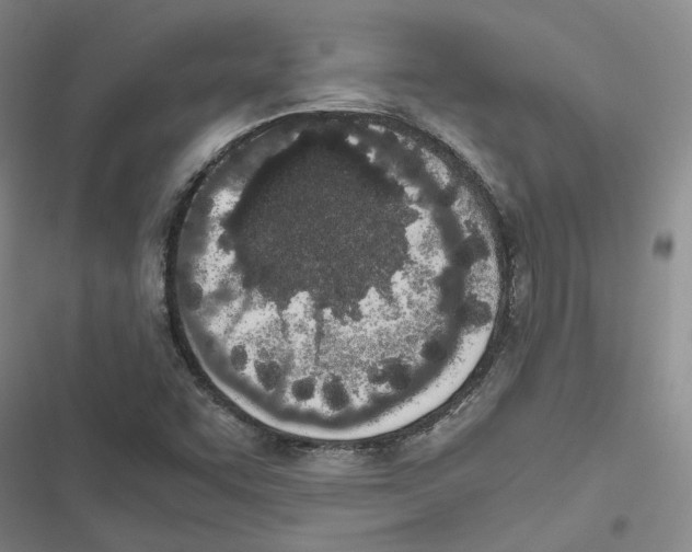 X0000116841455201001151237