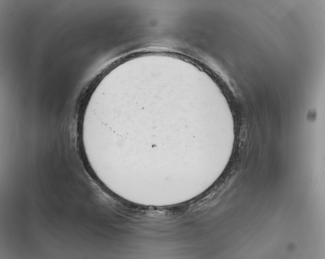 X0000116841456201001151237