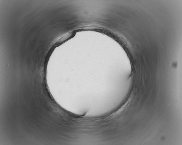 X0000116841457201001151237