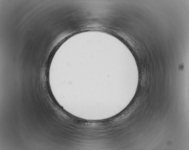 X0000116841458201001151237