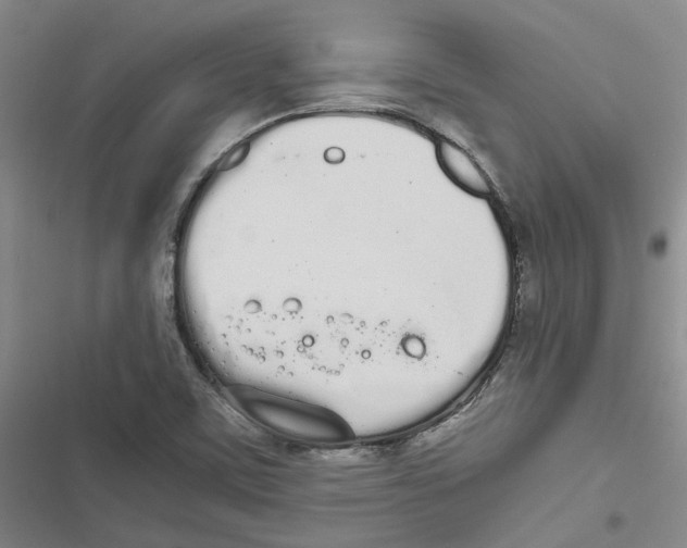 X0000116841459201001151237