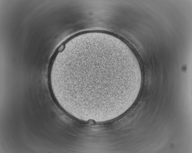 X0000116841460201001151237