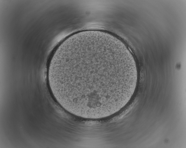 X0000116841461201001151237