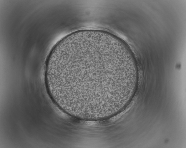 X0000116841463201001151237