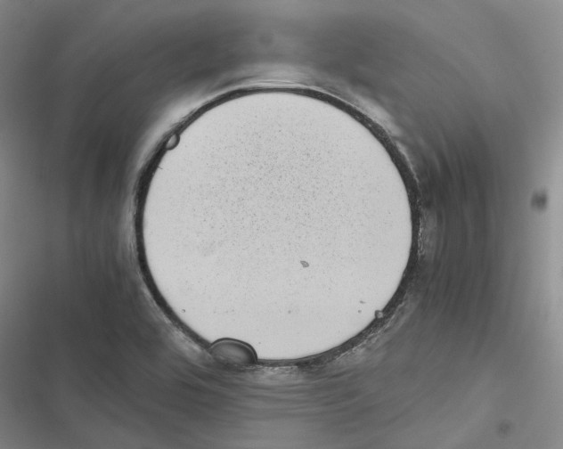 X0000116841464201001151237