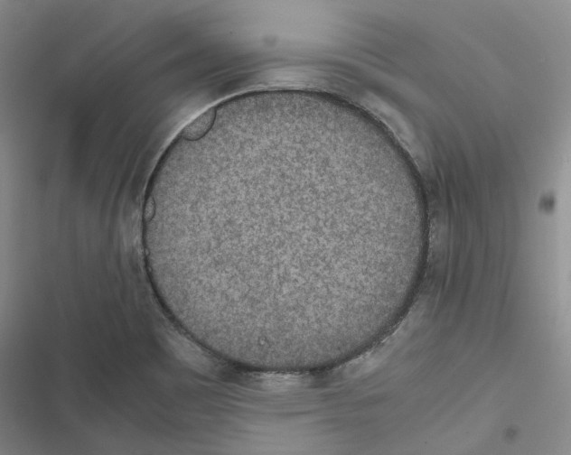 X0000116841465201001151237