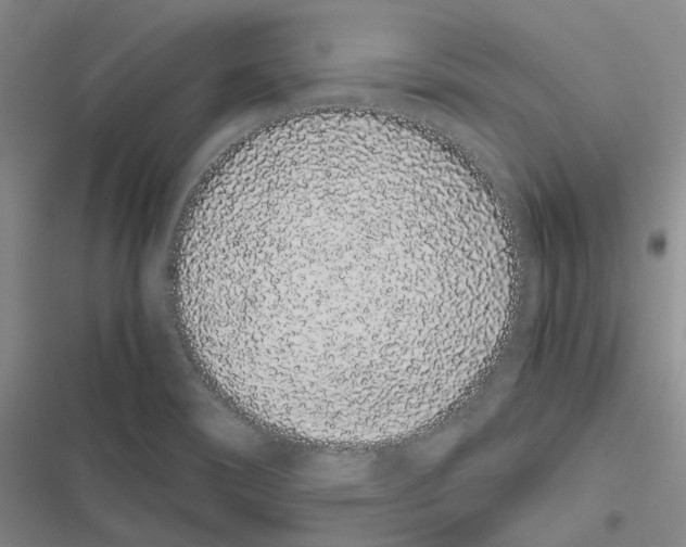 X0000116841466201001151237