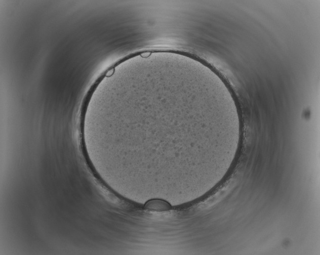 X0000116841469201001151237