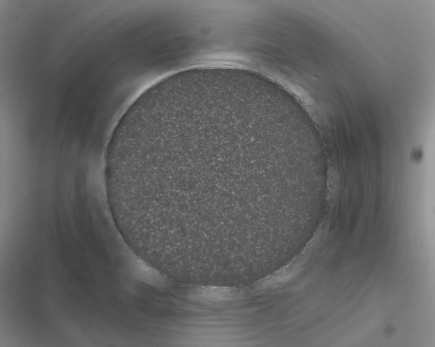 X0000116841470201001151237