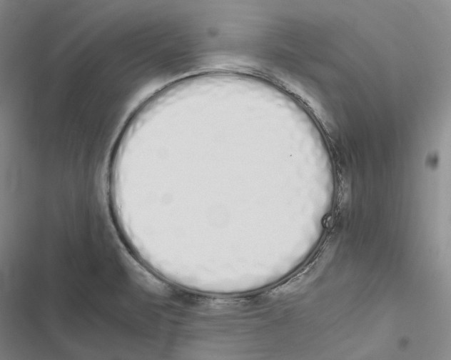 X0000116841471201001151237