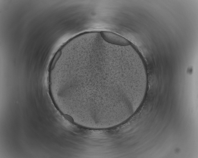 X0000116841472201001151237