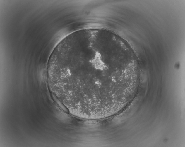 X0000116841473201001151237