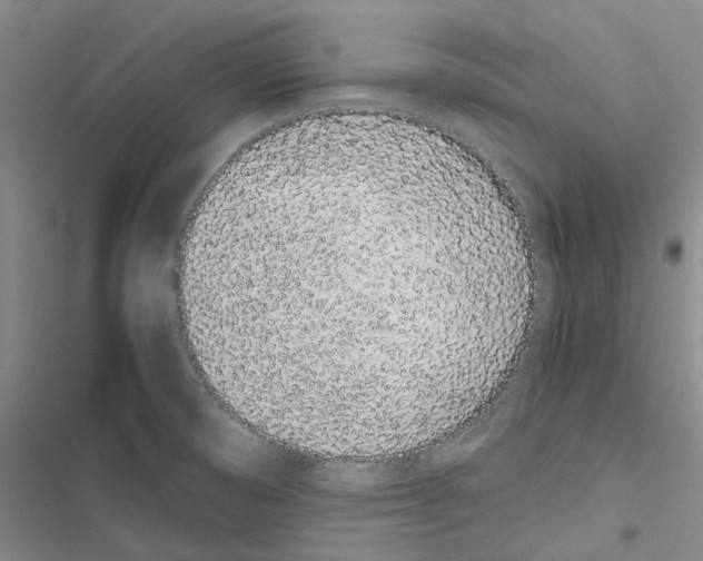 X0000116841474201001151237