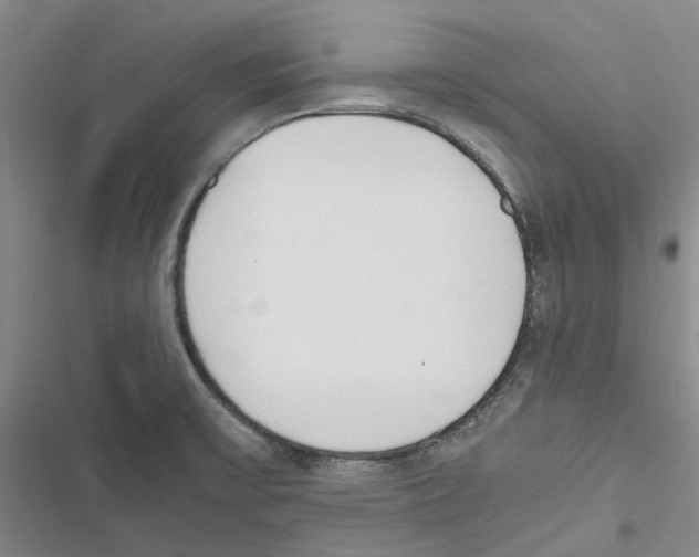 X0000116841475201001151237