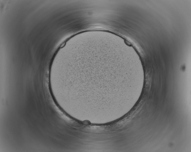 X0000116841476201001151237