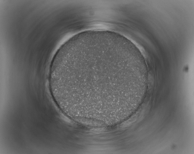 X0000116841477201001151237