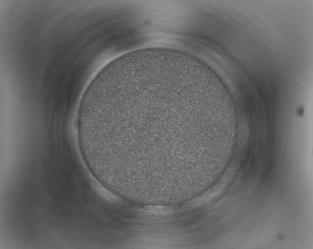 X0000116841478201001151237