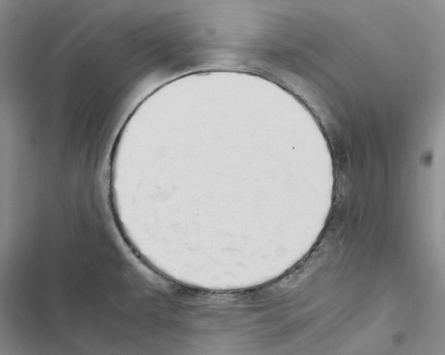 X0000116841479201001151237