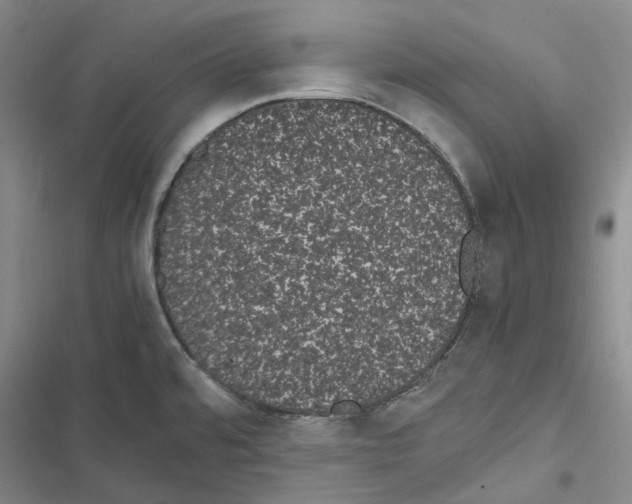 X0000116841480201001151237