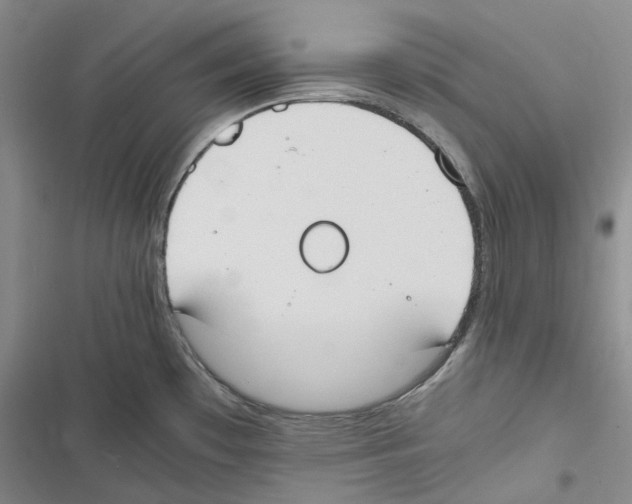 X0000116841481201001151237