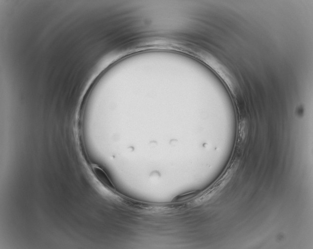 X0000116841482201001151237