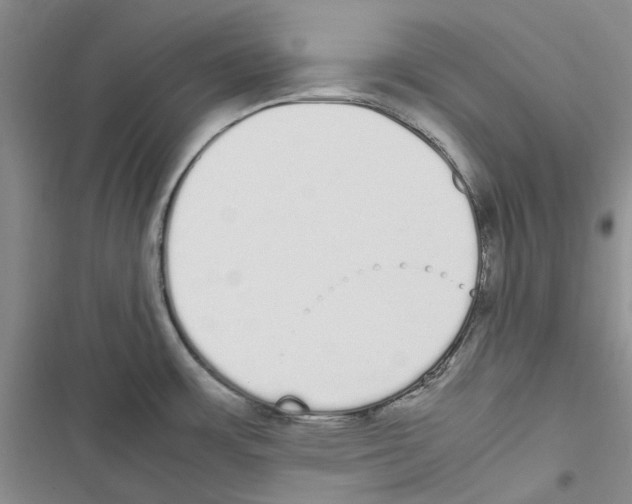 X0000116841483201001151237