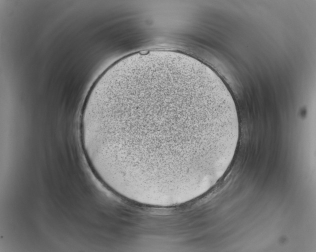 X0000116841484201001151237