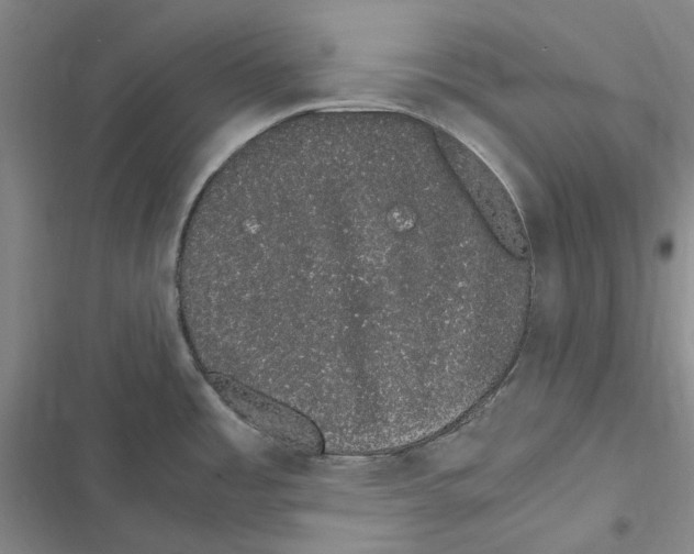 X0000116841485201001151237