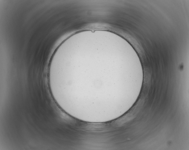 X0000116841486201001151237