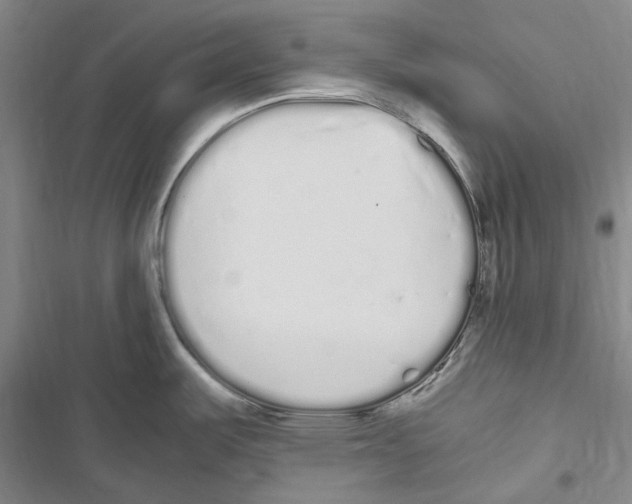 X0000116841487201001151237