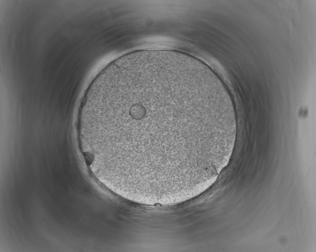 X0000116841488201001151237