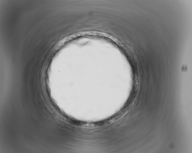 X0000116841489201001151236