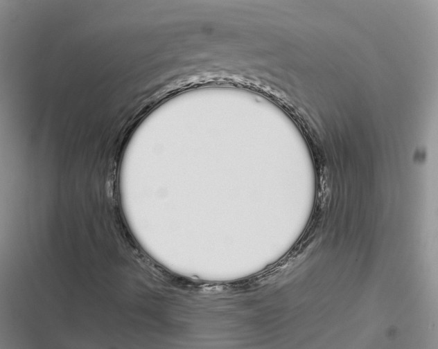 X0000116841490201001151236