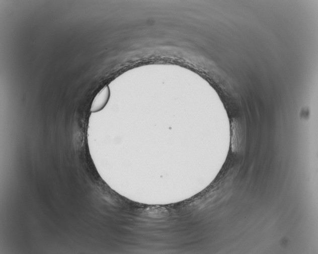 X0000116841491201001151236