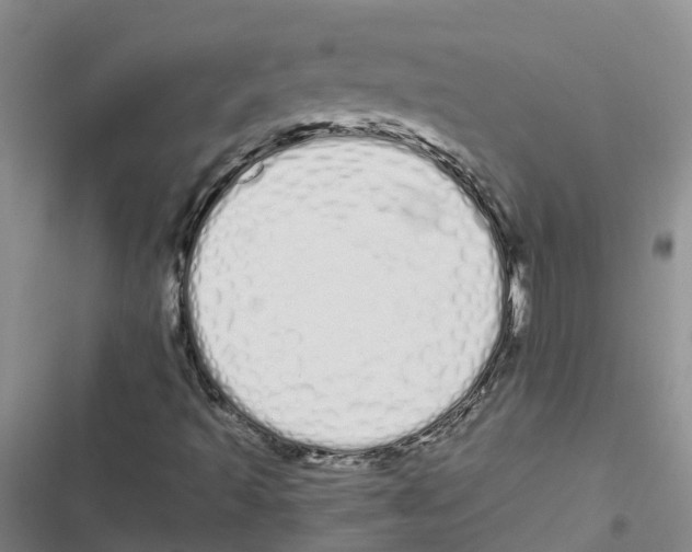 X0000116841493201001151236